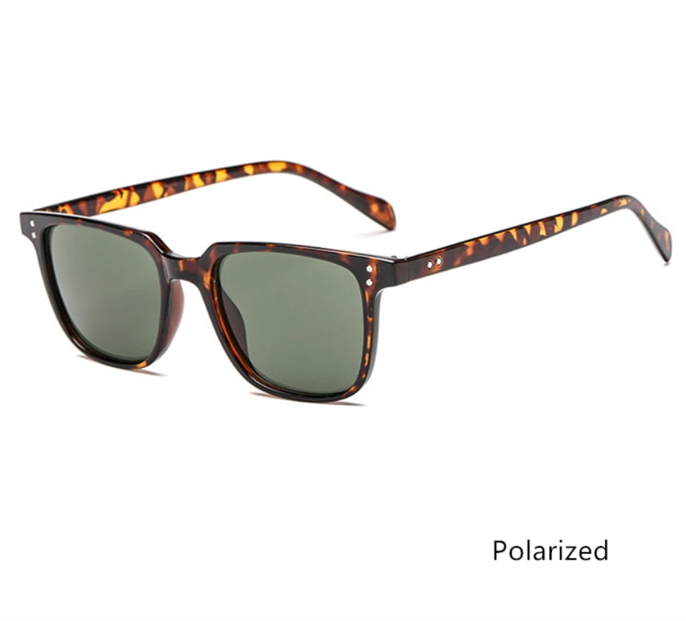 Square Classic Mens Sunglasses